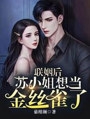 陆承瑾苏绾颜小说叫什么名字