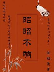 昭昭不响小说全集