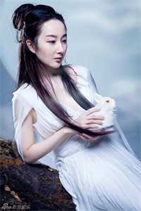 内阁首辅大人的妻子