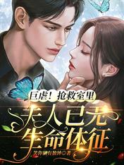陆景琛沈凝是什么小说