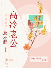 顶级宠婚：高冷老公惹不起（又名：宠妻总裁坏透了）