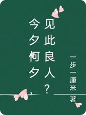 今夕何夕，见此良人？